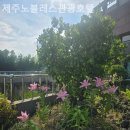 노블레스관광호텔 이미지