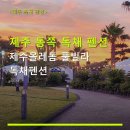제주야자수정원수영장올레돔감성독채숙소 | 제주 동쪽 독채 펜션 제주올레돔 풀빌라 독채펜션 수영장·주차·바비큐 이용법 안내