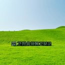 공룡 발자국화석지 | 태고의 신비가 숨 쉬는 고성 상족암 공룡발자국 과 6가야 중 경남 고성 소가야의 고성송학동고분군 탐방기