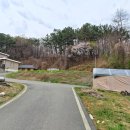 세종시 금남면 두만리 신축가능한 단독주택 매매 이미지