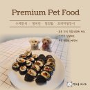 펫 소울 메이트 이미지