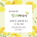 세상을위로하는 따뜻한 힘 힐링원예 이미지