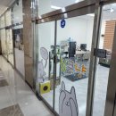 심쿵냥 고양이분양 이미지