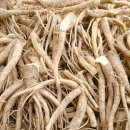 으뜸농장 2 이미지