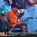 세인트 바트 이미지