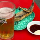 을지로 혼술의 정석, 만선호프 &amp; 영락골뱅이 솔직후기🍺🐙 힙지로 혼술집 추천