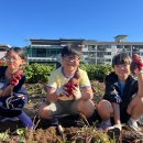 앙성초등학교 이미지