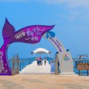 강원 고성 대진항 Daum카페