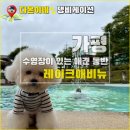 다온앤틱카페 | 가평 실내 애견동반카페 - 강아지랑 심혜진 배우님 주택 개조한 레이크애비뉴