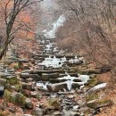 비슬산 숲속 오토캠핑장 | [250201] 비슬산 자연휴양림 / 비슬산 숲속오토캠핑장
