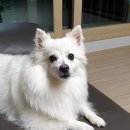 화부산로 이미지