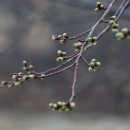 [2025년 사순 제3주일] 사순절 특강 (적극적 회개란) 이미지