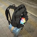 한일상가슈퍼 | OFF TO TOKYO : 또 급히 떠나고 짧게 다녀온 7번째 도쿄 (1)