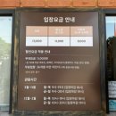 세종 아이랑 가볼만한 곳 베어트리파크 | 25개월 아기랑 주말 나들이 후기