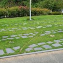 종교단체 자연장지 이미지