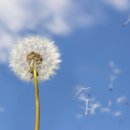 뱅뱅이비인후과의원 이미지