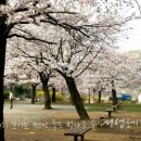 대성레저 이미지