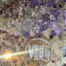 오도가든 이미지