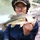 안성리-9 이미지