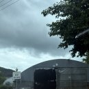 전평원 참한고기 | [광주 매월동] 광주 야장느낌 분위기 좋은 고깃집 “전평원 참한고기 오리고기” 추천후기 💚