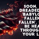 솔리테리 이미지