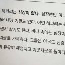 네모의꿈 이미지