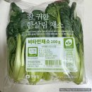 초록비타민 | 후기이유식 한살림 채소 비타민 큐브 만들기!