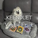 디자인미트 | 펫트리언츠 킨들릿 후기｜고기알러지걱정없는 미트프리 강아지·고양이 간식