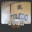 다온유도짐 이미지