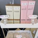 아젠시아