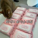 우리들의집 | 반려동물 전용 티슈 ‘우리들의 반려생활’ 사용 후기