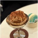오아시스커넥트