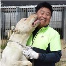 제일애견 이미지