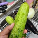 대왕미용실 네이버블로그