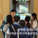 서대문자연사박물관 | EBS한국사탐방 새싹원정대 서대문 자연사박물관 체험학습 후기