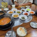 만실목장 | 2026년 7월 태백산 소도야영장1