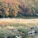 논현로13길 20 (1) 이미지