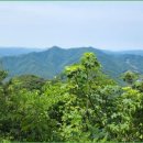 매봉산4 이미지