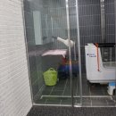 서정동물병원 이미지