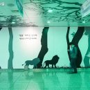 시청광장지하도상가 이미지