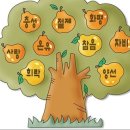 빛나는열매
