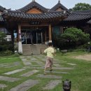 너른마당 | [고양 맛집] 너른마당 식당 방문후기 (서이추환영)