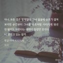 카페해화