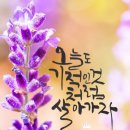 다들안전