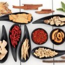 일움한의원 이미지