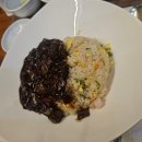 펫런치(Pet Lunch) | 비발디파크 맛집 추천 | 쉐누 펫동반 레스토랑 점심 메뉴·가격·영업시간 후기