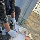 나포리횟집 이미지