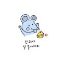 이플 이미지