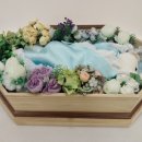 하늘강아지 반려동물 장례식장 이미지