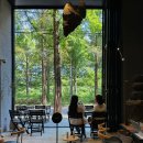 김동선 | [도곡동/매봉역/양재천] 행운간 후기